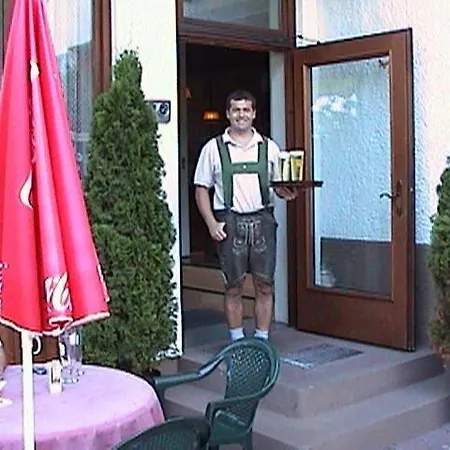 Mairwirt Πανσιόν Schwendt (Kaiserwinkl)